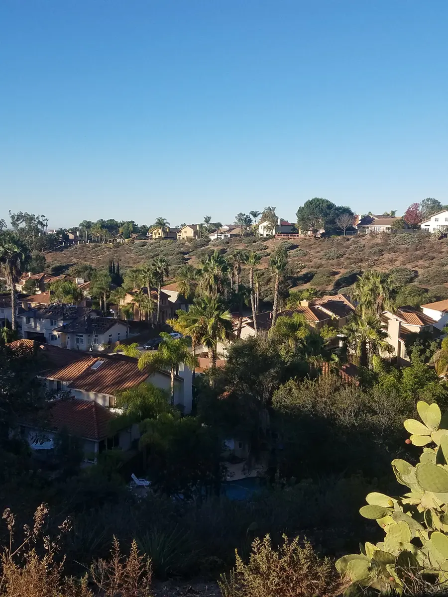 Homes among the trees in Scripps Ranch, San Diego